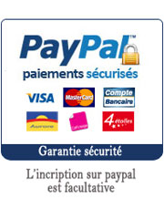 micropaiement paypal et paiement securise sur starpass micro-paiement